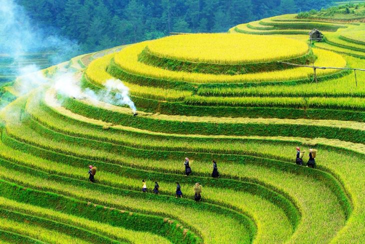 Mu Cang Chai travel experience